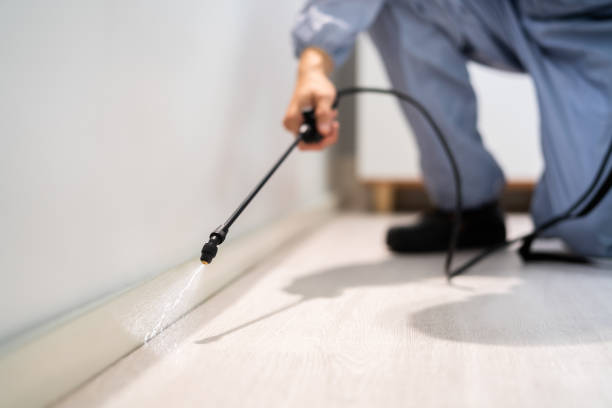 Professional exterminator conducting IPM assessment in Lynchburg