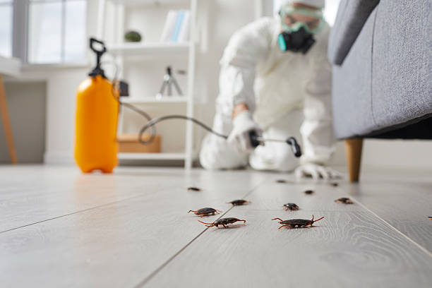 Commercial Rodent Management in Lynchburg